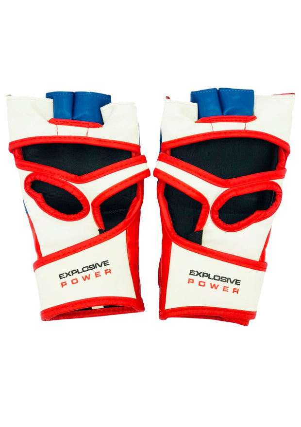 Blue, White & Red MMA Gloves